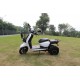 Electric tricycle (3wheeler) Delivery-Cargo - Storm Fleet Scooters