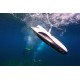 Underwater Drone - PowerRay Underwater Drones